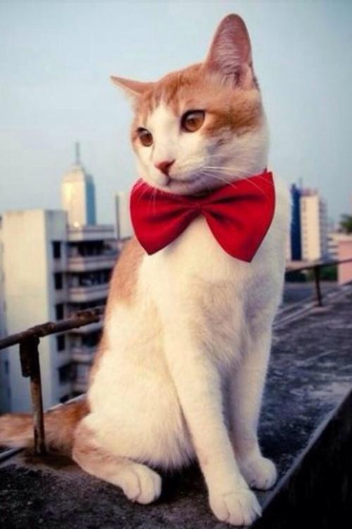 ƺӷⶳٶȼӿ쳤ȴﵽ631.3 ǧ׷ǡ